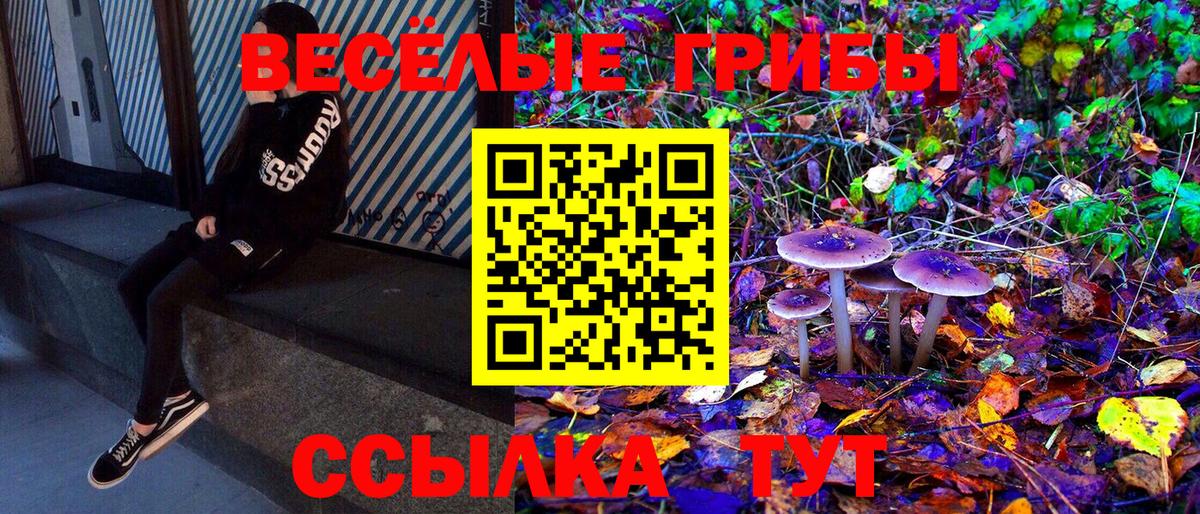 Галлюциногенные грибы Cubensis Рязань