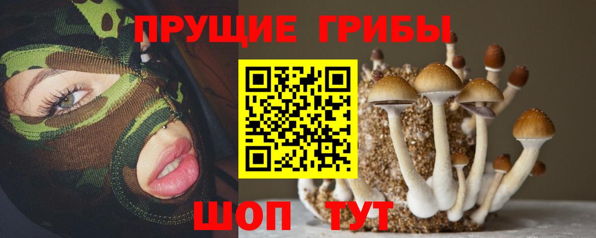 Рязань  где можно купить наркотик  Вход с VPN  Псилоцибиновые грибы Psilocybine cubensis 